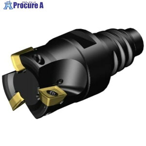 SANDVIK �R���~��CoroMill[[R��]]MS20 �����t���C�X���H�J�b�^�[(440) MS20-AR025EH25-10M 1�� ����679-9444 �y�����s�x���ρz ��KO521