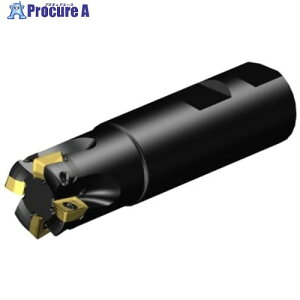 SANDVIK �R���~��MS20�����J�b�^�[(440) MS20-AR025M25-10H 1�� ����679-9445 �y�����s�x���ρz ��KO521
