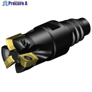 SANDVIK �R���~��CoroMill[[R��]]MS20 �����t���C�X���H�J�b�^�[(440) MS20-AR019EH20-10M 1�� ����679-9450 �y�����s�x���ρz ��KO521