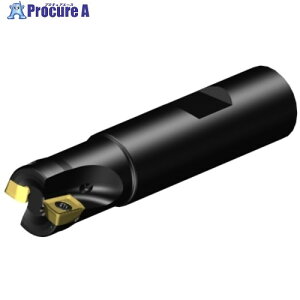 SANDVIK �R���~��CoroMill[[R��]]MS20 �����t���C�X���H�J�b�^�[(440) MS20-AR019M19-10L 1�� ����679-9453 �y�����s�x���ρz ��KO521