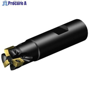 SANDVIK R~MS20Jb^[(440) MS20-AR019M19-10M 1 679-9455 ysxρz KO521