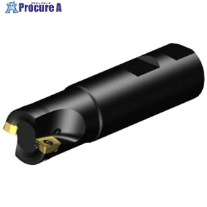 SANDVIK �R���~��MS20�����J�b�^�[(440) MS20-AR025M25-10L 1�� ����679-9466 �y�����s�x���ρz ��KO521