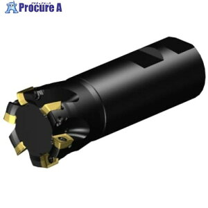 SANDVIK R~MS20Jb^[(440) MS20-AR038M32-10H 1 679-9479 ysxρz KO521