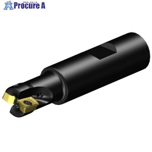 SANDVIK �R���~��CoroMill[[R��]]MS20 �����t���C�X���H�J�b�^�[(440) MS20-AR016M19-10L 1�� ����679-9485 �y�����s�x���ρz ��KO521