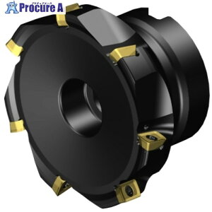 SANDVIK �R���~��CoroMill[[R��]]MS20 �����t���C�X���H�J�b�^�[(440) MS20-AR076R25-10M 1�� ����679-9495 �y�����s�x���ρz ��KO521