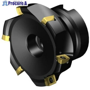 SANDVIK �R���~��CoroMill[[R��]]MS20 �����t���C�X���H�J�b�^�[(440) MS20-R063Q22-10M 1�� ����679-9504 �y�����s�x���ρz ��KO521