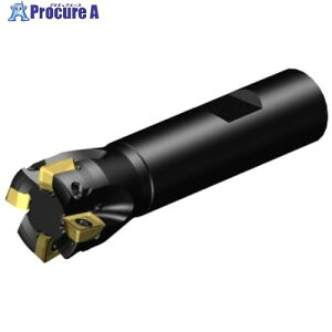 SANDVIK �R���~��MS20�����J�b�^�[(440) MS20-AR025M19-10H 1�� ����679-9514 �y�����s�x���ρz ��KO521