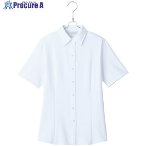 �s�G �����u���E�XHCB4000 �z���C�g 23 HCB4000-001-23 1�� ����694-3058 �y�����s�x���ρz