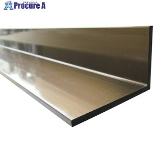 �A���C���R �A���~�s���ӃA���O�� 10×20×1.5 �u�����Y������ 2m FA255B2 1�{ ����849-4347 ���ԏ�n�����l��l����s��