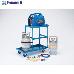 �^�X�R �t������� �t���I���J�[�{��������u�J�[�G�A�R���L�b�g TA110XZG 1�� ����274-1209