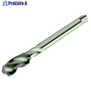 SANDVIK �R���^�b�v300 �X�p�C�����^�b�v(780) B150 T300-NM100DB-M14X150B150 (780) 1�{ ����313-2771 �y�����s�x���ρz ��KO521