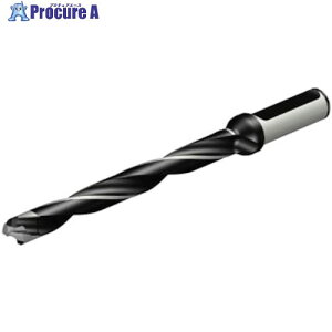 SANDVIK �R���h����870 �w�b�h�������h����(446) 870-1350-13LX063-10 (446) 1�{ ����314-0456 �y�����s�x���ρz ��KO521