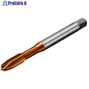 SANDVIK �R���^�b�v200 �|�C���g�^�b�v(781) C110 T200-XM100AE-1/4 C110 (781) 1�{ ����326-7561 �y�����s�x���ρz ��KO521