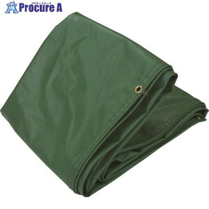 TRUSCO @\gbNV[g 4gWp 4.8mX9.9m ngEZ^[CEނxgt TSK4-T 1 207-3619