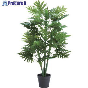  lHϗtA Z[(W)WD-11 WD-11 1 261-5559 ysxρz