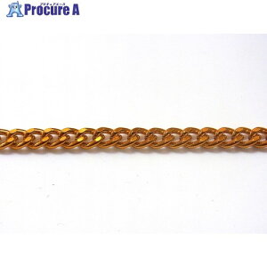 �j�b�T�`�F�C�� �A���~�J���[�`�F�� 30m �� AS22F-GD 1�{ ����126-4540 �y�����s�x���ρz