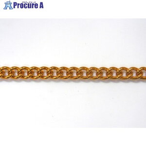 �j�b�T�`�F�C�� �A���~�J���[�`�F�� 30m �� AS25-GD 1�{ ����126-9322 �y�����s�x���ρz
