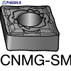 SANDVIK T-Max P ����p�l�K�`�b�v(110) S05F CNMG 16 06 08-SM S05F (110) 10�� ����569-2474 �y�����s�x���ρz ��KO521