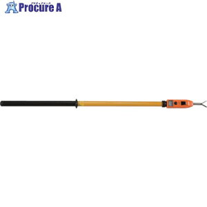 HASEGAWA ʍ𗬗pd HST-30 1 731-0188 ysxρz