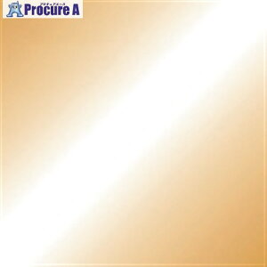JTX 365302)PF肪݋F 100 B261J-25 B261J-25 1pbN 197-2465yϕszysxρz