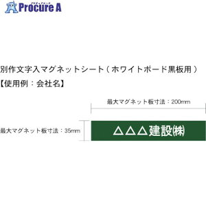 IM ʍ앶}OlbgV[g(zCg{[hp) AMWBKMS1 1 383-2094 ysxρz