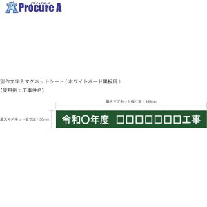 IM ʍ앶}OlbgV[g(zCg{[hp) AMWBKMS2 1 383-2095 ysxρz