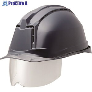 ~hS nCXybNf(ChV[ht) SC-19PCLVSRA3At@ lCr[ SC-19PCLVSRA3-ALPHA-NV/S 1 105-6079