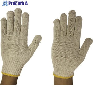 ӂ 100 { (gN{[ȐF) 100 1_[X 162-3032yϕsz