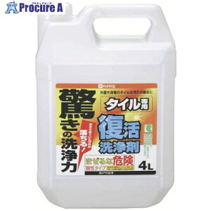 KANSAI 4L^Cp 00017660011040 4{ 804-9556 ysxρz