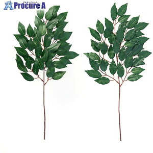 ACfBA _Ip  1007894 1g 348-9069