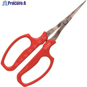 ARS ԂǂE n |ܓ 321DX-T 1 253-7804 ysxρz