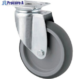 �e���e�L���X�^�[ �v���[�g���L���X�^�[�gAGILA�h(�G���X�g�}�[��) ��75 ���ݎ� 2470PJO075P40 1�� ����255-9032