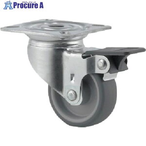 �e���e�L���X�^�[ �v���[�g���L���X�^�[�gAGILA�h(�G���X�g�}�[��) ��50 ���ݎ�(�z�C�[�����b�N�t) 2475PJI050P40 1�� ����255-9101