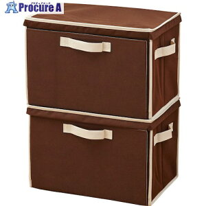 ACfBA d˂Ďg鉺2set uE 1007972 1g 350-0742 ysxρz