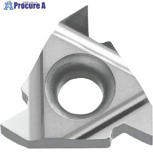 ���Z�� �O�a�˂��؂���H�p�`�b�v (�ėp55°�AG(PF)�AR(PT)(BSPT)�A�E�B�b�g�˂�(W) TC60M 16ER5501 TC60M 10�� ����543-3070 �y�����s�x���ρz ��MA515