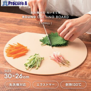 ACfBA H@Ήۂ܂ȔϔM E-BE- 1009853 1 597-1647 ysxρz