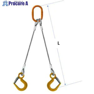 �R���h�[�e�b�N JIS���b�N�~���C�� 2�_�� 16mm LS�t�b�N2.0t�t �ȉ~�}�X�^�[�����O�t ��16×6M LS2.0/A5022S 05222RDFL166 1�g ����612-3957 �y�����s�x���ρz