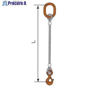 �R���h�[�e�b�N JIS���b�N�~���C�� 18mm �ȉ~�����O �t���t�b�N 3.2t �h�� ��18×4M T03S�EA3017S 05221RDFT184 1�g ����612-3974 �y�����s�x���ρz
