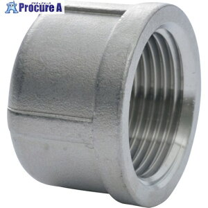 inoc Lbv SUS304 C 100A 304C100A 1 806-4281yϕszysxρz