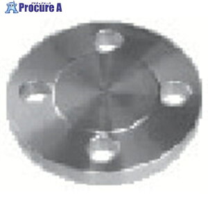 inoc �ʍ��t�u���C���h�t�����W 10K300A 316LBDRF10K300A 1�� ����850-4869�y������ϕs�z