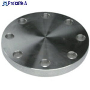inoc �u���C���h�t�����W SUS304 BF 10K 400A 304BF10K400A 1�� ����850-5163�y������ϕs�z���ԏ�n��