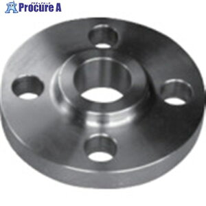 inoc �X���b�v�I���t�����W �N���X150 300A 304SORF150LB300A 1�� ����850-5186�y������ϕs�z�y�����s�x���ρz���ԏ�n��