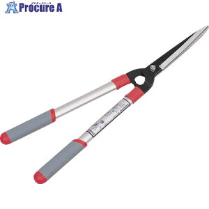 GS V^A~() 2039 1 868-2243yϕszysxρz