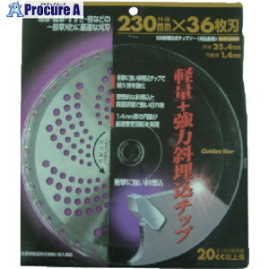 GS Ζ`bv\[230mm36n 210420 1 868-2247 lls