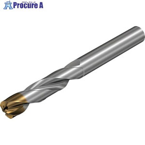 SANDVIK �R���h����860�]GM ���d�\���b�h�h����(720) X1BM 860.1-1260-039A0-GM X1BM (720) 1�{ ����350-6294 �y�����s�x���ρz ��KO521