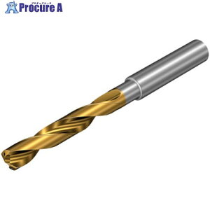 SANDVIK �R���h����860-PM ���d�\���b�h�h����(720) P1BM 860.1-0595-047A1-PM P1BM(720) 1�{ ����456-7785 �y�����s�x���ρz ��KO521