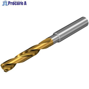 SANDVIK �R���h����860-PM ���d�\���b�h�h����(720) P1BM 860.1-1240-040A0-PM P1BM(720) 1�{ ����456-7930 �y�����s�x���ρz ��KO521