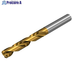 SANDVIK �R���h����860-PM ���d�\���b�h�h����(720) P1BM 860.1-1600-044A0-PM P1BM(720) 1�{ ����456-7939 �y�����s�x���ρz ��KO521