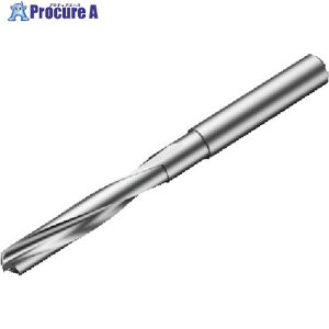 SANDVIK �R���h����860�]NM ���d�\���b�h�h����(721) H10F 860.1-1250-100A1-NM H10F (721) 1�{ ����564-8301 �y�����s�x���ρz ��KO521