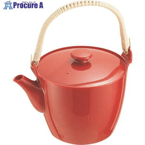 TKG GebN |J[{lCg ǂт  1l BDB02003 1 186-5791yϕszysxρz